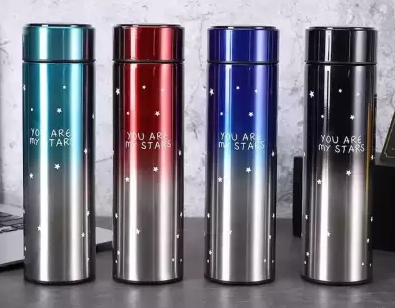 Smart LED Temperature Display Flask 500ML RANDOM COLOUR