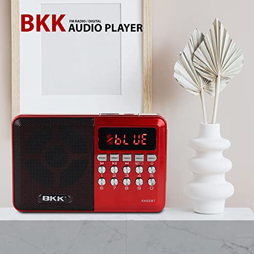 Rechargeable Radio/Bluetooth Speaker